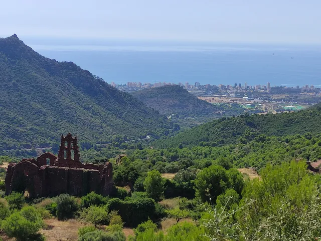 Desert de les Palmes
