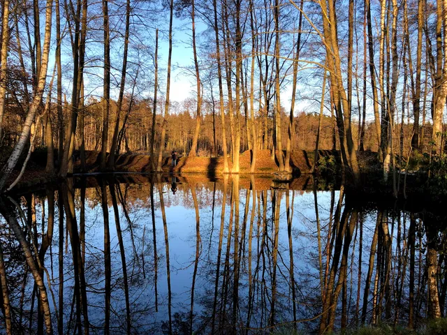 Holiday apartments Haus Tusculum