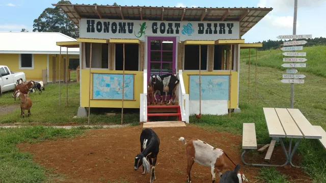 Honomu Goat Dairy