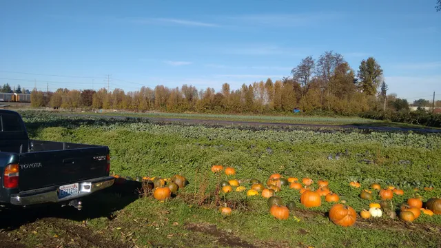 Whistling Train Farm