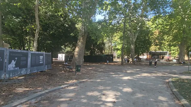photo-3