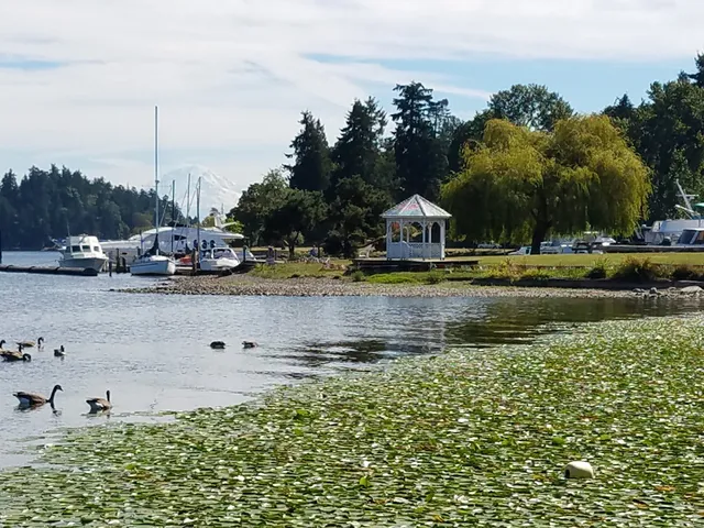 Adams Street Hand-Carry Boat Launch