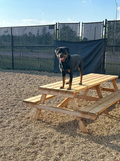 Eastern Iowa Pet Resort