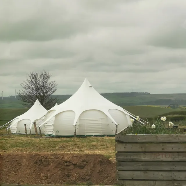 Bamburgh Under Canvas