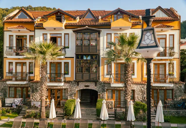 The Olive Tree Studios