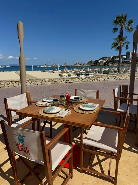 Turtle Beach Palmanova