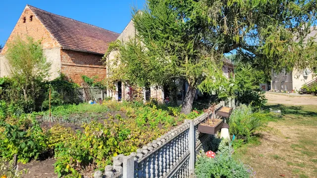 Koziołek Suchodołek