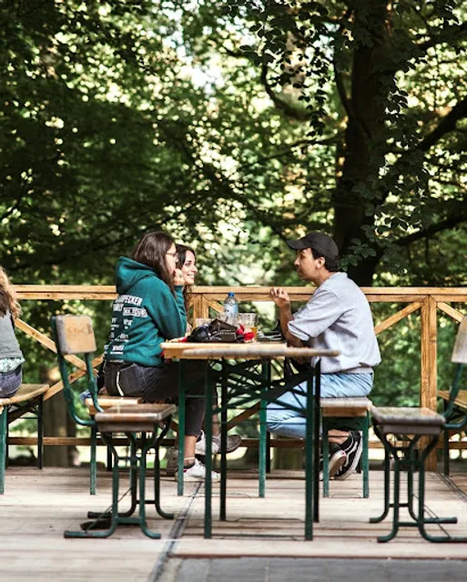 Woodpecker Bois de la Cambre