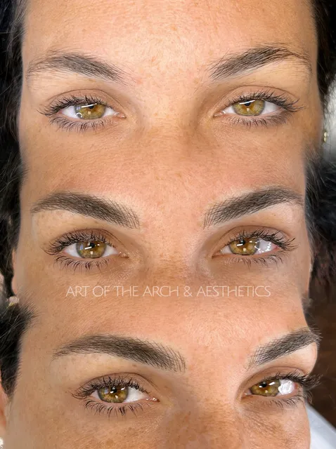 ART OF THE ARCH & AESTHETICS, LLC