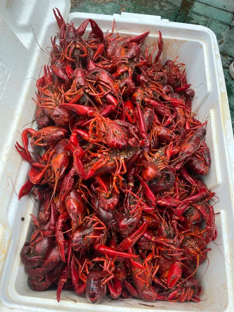 Bom Crawfish