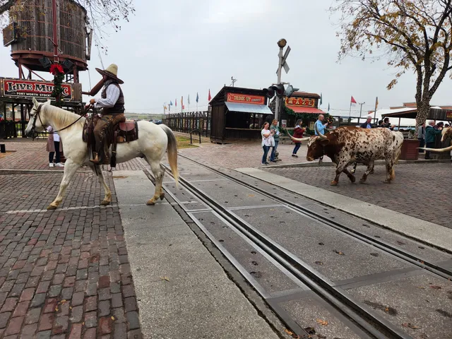 Cowtown Cattlepen Maze