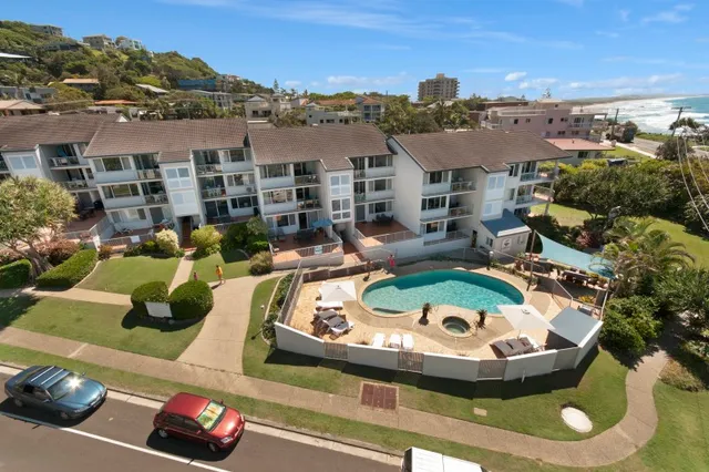 Pandanus Coolum Beach