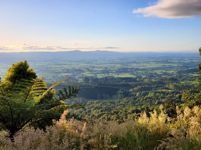 Kaimai Mamaku Lookout
