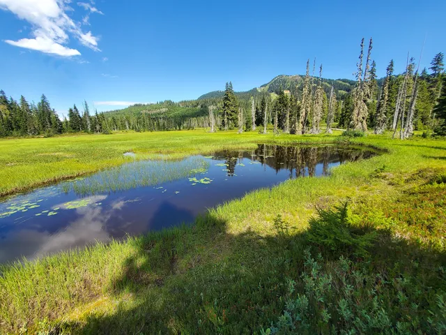Paradise Meadows- Strathcona Provincial Park