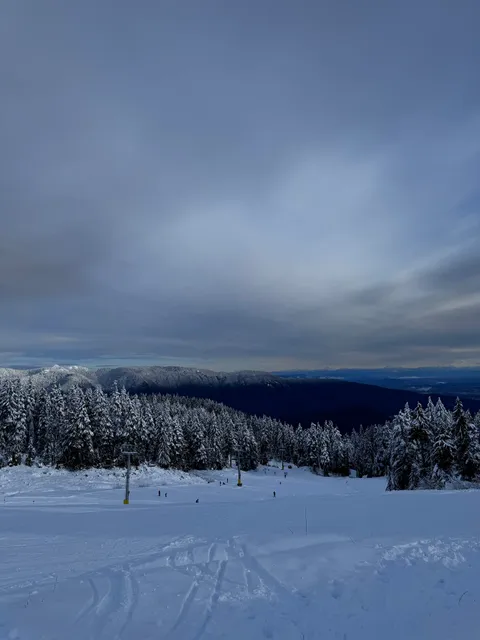 Mt Seymour - Alpine Activity Centre