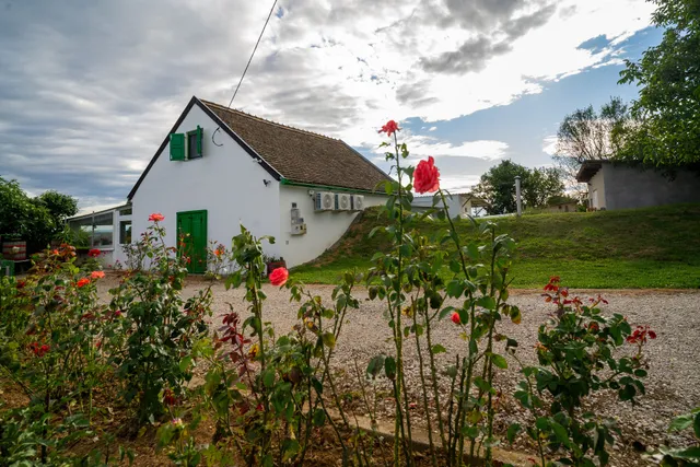 Joóbarát Vendégház Siklós