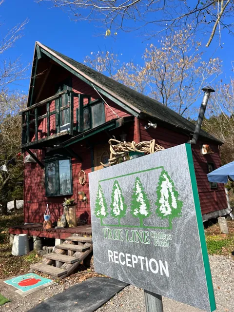 TREE LINE chillax field