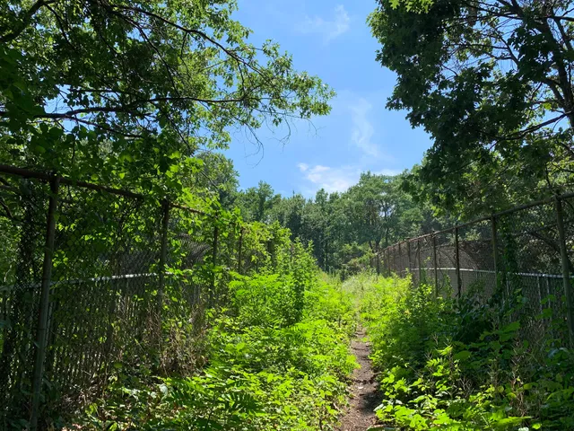 Cunningham Mountain Biking Trails