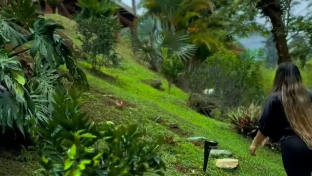 Finca Medicina Natural