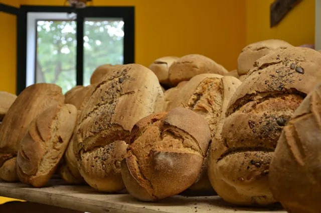 Bio Forno Colli Euganei