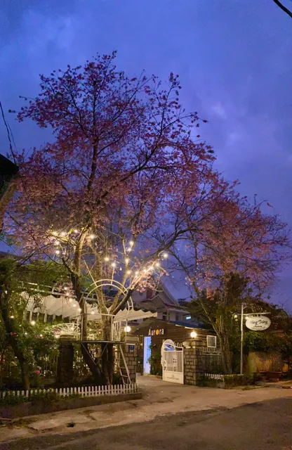 Homestay Aurora đà lạt