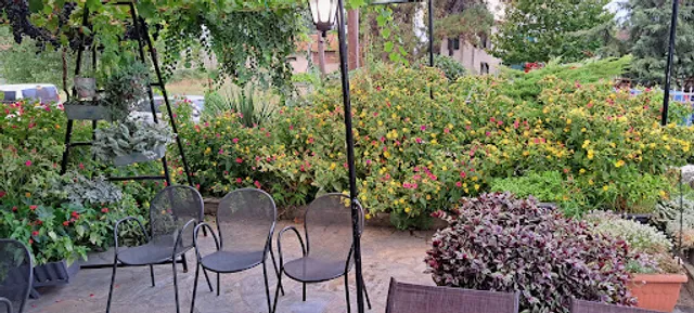 Ellinikon Fish Tavern