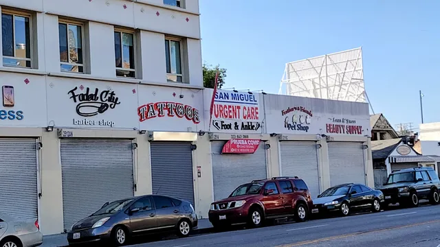 Feathers And Friends Exotics