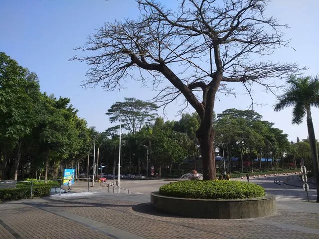 Longhua Science and Technology Park