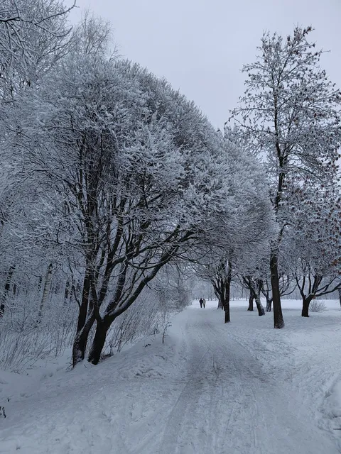 Piskarovskiy Lesopark