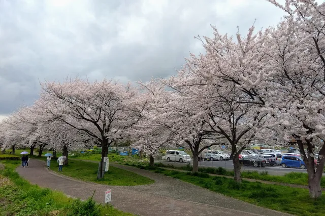 Ōhorigawa Riverside Park