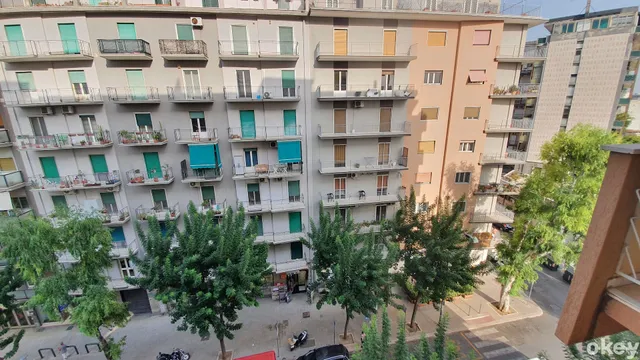 Doctor House - Bari Policlinico