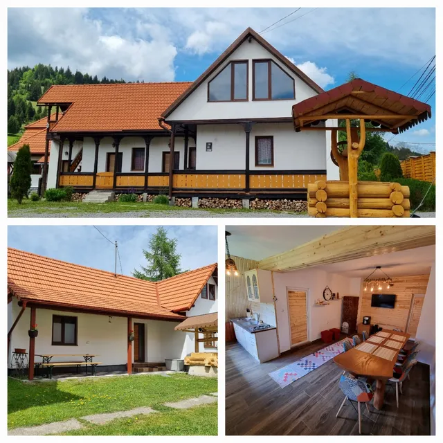 Casa Florea Stanceni