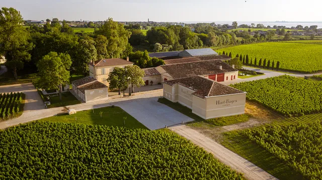 Château Haut-Bages Libéral, Grand Cru Classé de Pauillac en 1855, certifié bio et biodynamie