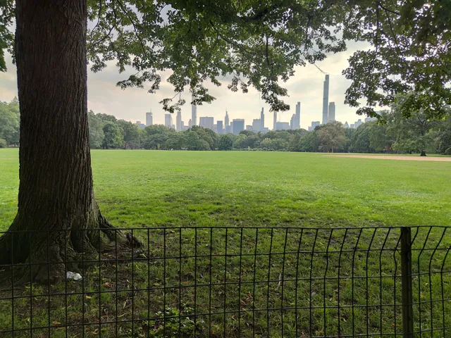 Great Lawn Softball Field 6