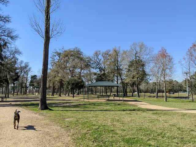 Bay Area Park Dog Park