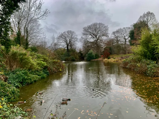 Greenwich Park Pond