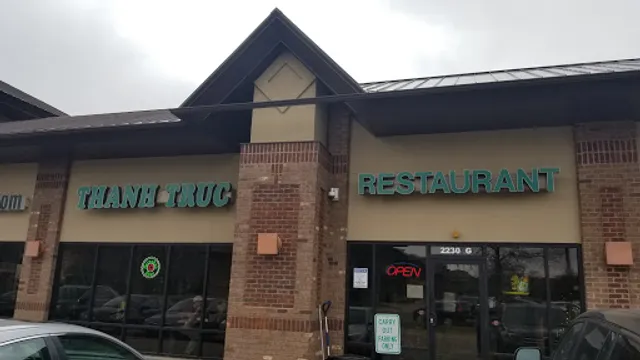 Thanh Truc - Green bamboo