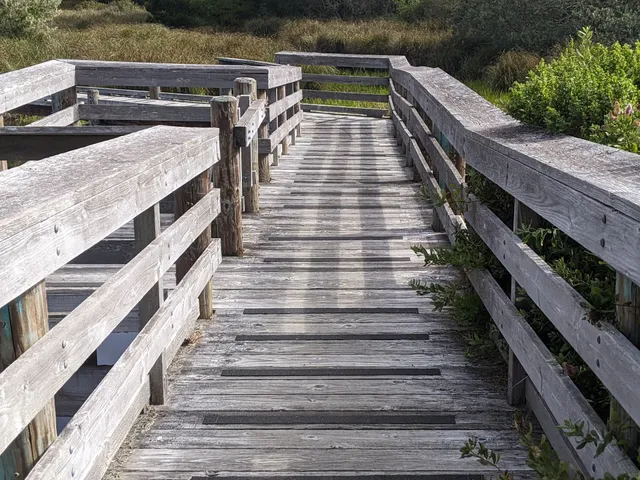 Waxmyrtle Campground