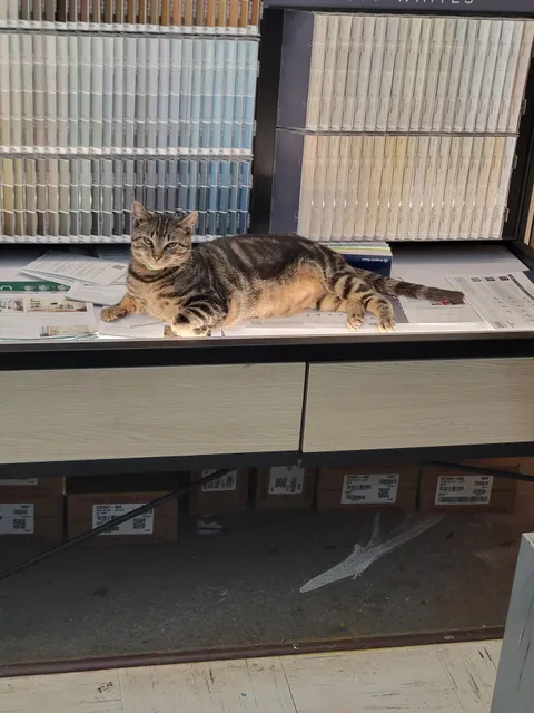 Ace Hardware and More