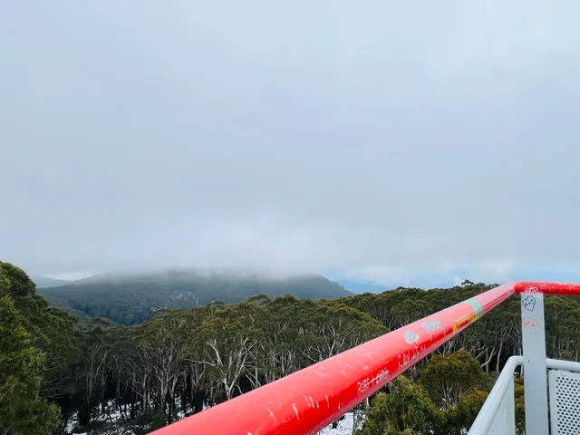 Mount Donna Buang Toboggan Runs