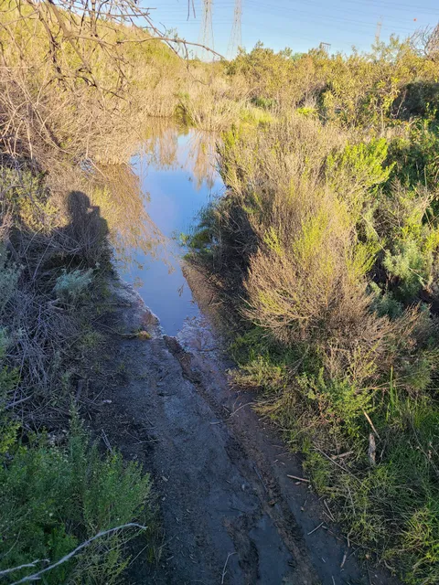 San Clemente Single Tracks