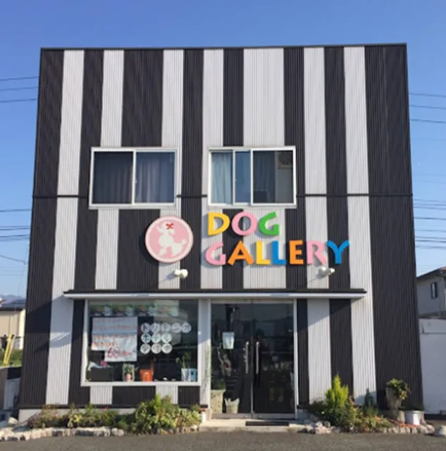 ドッグギャラリー