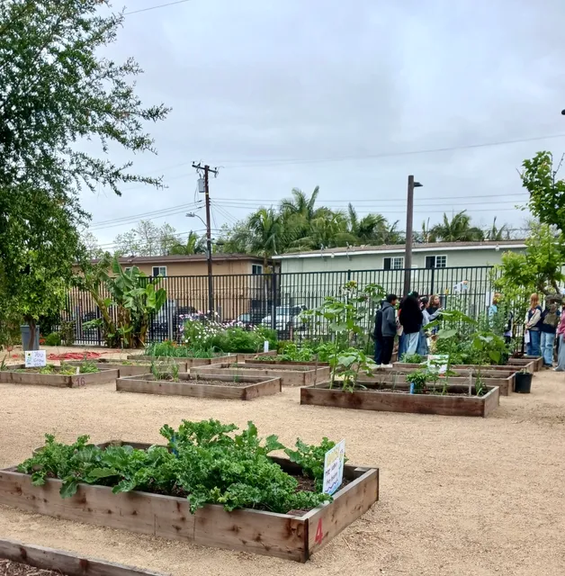 Jerome Park Community Garden