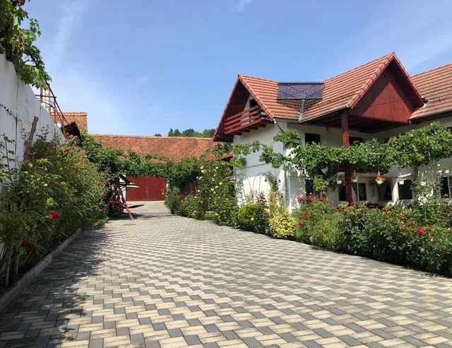 Pensiunea Flori Sibiel