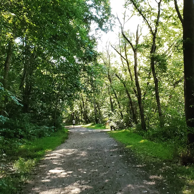 Chessie Nature Trail