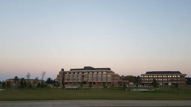 Texas A&M University - Texarkana