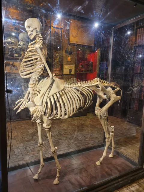 Первый Криптозоологический музей "Бестиарий"