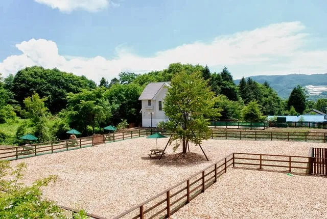 Carro Foresta Sugadaira Kazorare