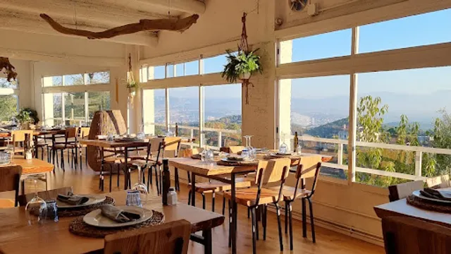 Green LEKA Can Valldaura