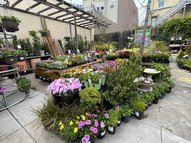 Sloat Garden Center